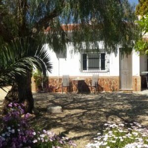 Orange Grove Apartment