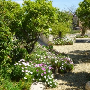 Finca Arboleda Looking Pretty At Easter
