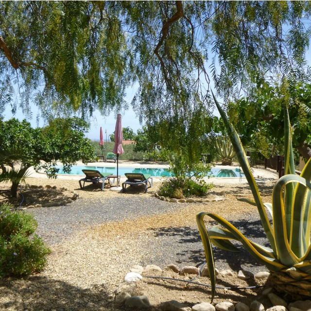 our-beautiful-pool-at-finca-arboleda