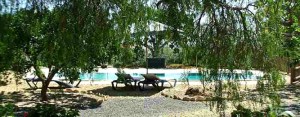 Beautiful Swimming Pool At Finca Arboleda