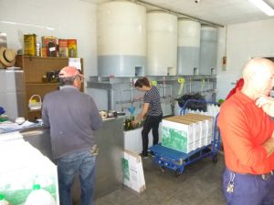Bottling Our Olive Oil