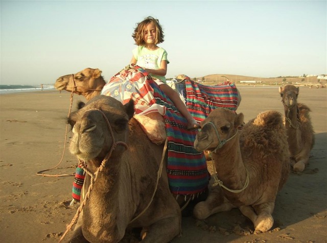 Camel Rides Mojacar