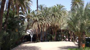 El Palmeral Vera