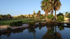 Desert Springs Restaurant