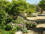 Garden At Easter