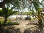 View From Orange Grove